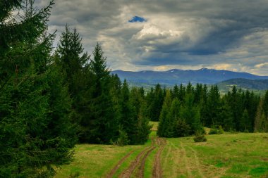 Karpatlar bir fırtına önce