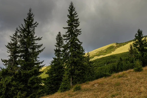 Карпатські гори навколо села Колочава, Україна. — стокове фото