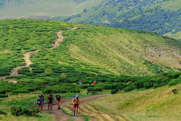 우크라이나의 2020 무리의 관광객들이 카르파티아 산맥을 — 스톡 사진