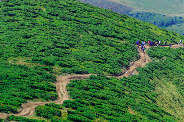 Rakhiv district, Ukraine - August 22, 2020: Groups of tourists walk along a path on a mountain range in the Carpathians.
