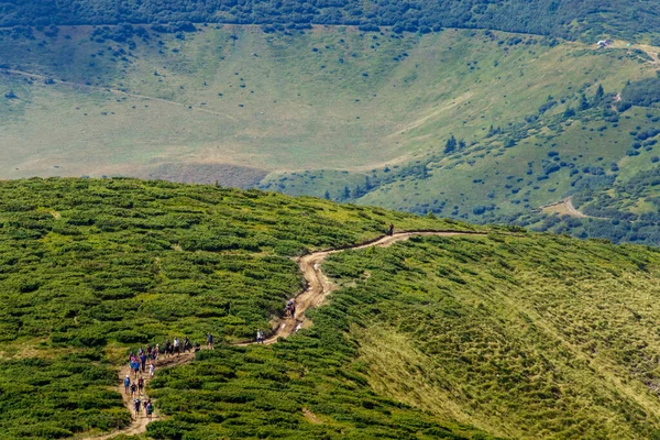 Rakhiv District Ukraine August 2020 Groups Tourists Walk Path Mountain — Stock Photo, Image