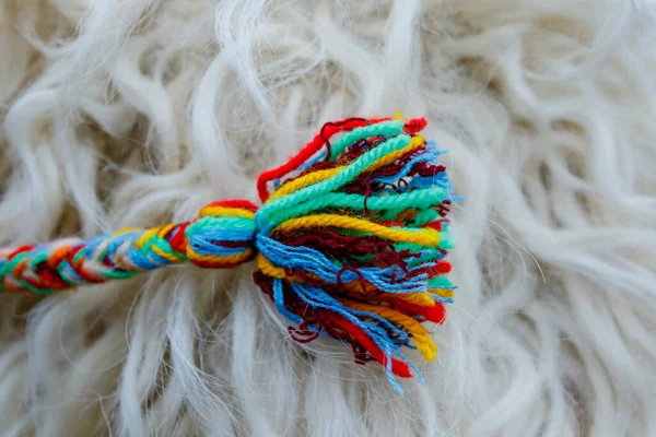 Colored braided pompom on blurred sheep wool background. Elements of folk clothing of local residents of western Ukraine.