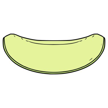 Dilimlenmiş kavun çizimi el izole edilmiş vektör