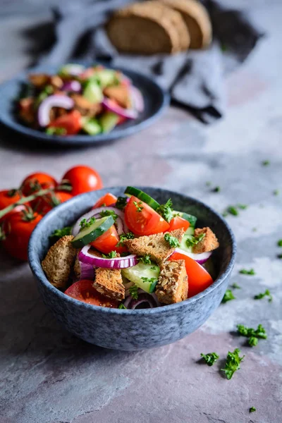 Panzanella Salată Tradițională Italiană Roșii Cherry Ceapă Roșie Castraveți Crutoane — Fotografie, imagine de stoc