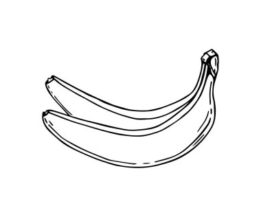 Muz meyve grafik siyah beyaz izole kroki çizim vektör. Yaz meyve sağlıklı yaşam için. Elle çizilmiş