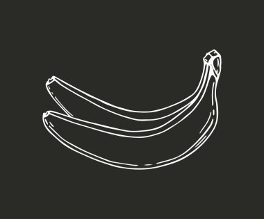 Muz meyve grafik siyah beyaz izole kroki çizim vektör. Yaz meyve sağlıklı yaşam için. Elle çizilmiş