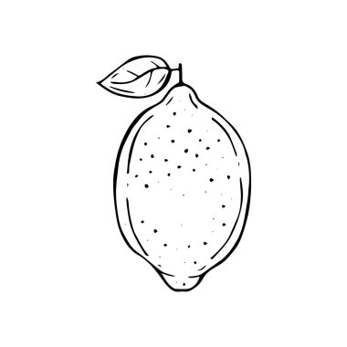 El limon vektör çizim çizimi.