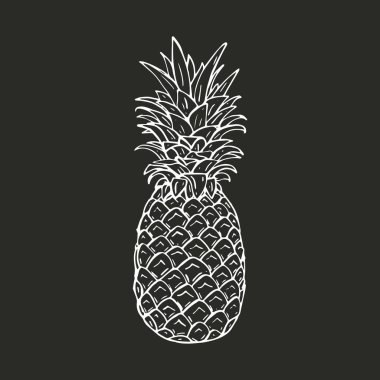  El ananas vektör çizim çizimi.