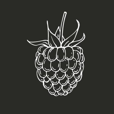 El çekilmiş ahududu simgesi. Vektör çizim