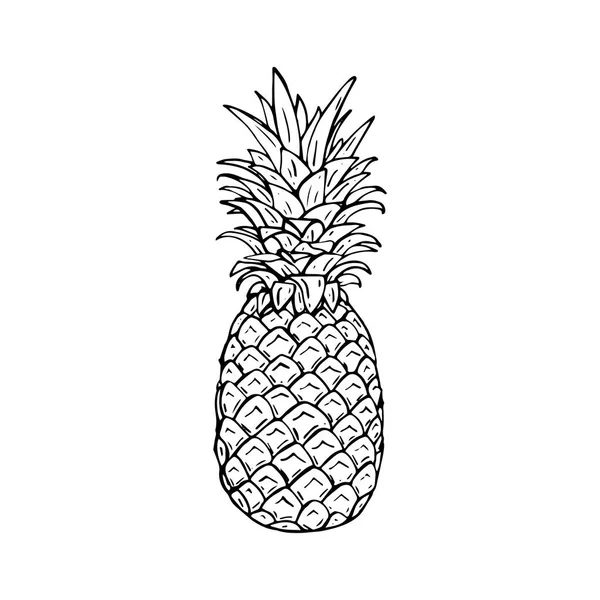 Hand Rita Vektorillustration Ananas — Stock vektor