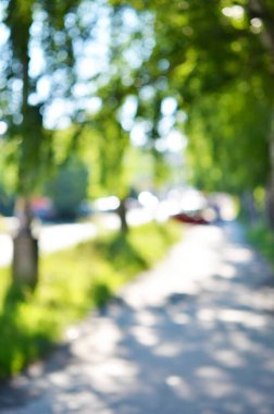 Yeşil Doğa Parkı ile bokeh güneş ışık arka plan bulanıklık. Yaz manzara.