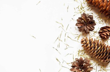 Mutlu Noeller ve mutlu yeni yıl. Noel süsleri. Metin için boş alan.