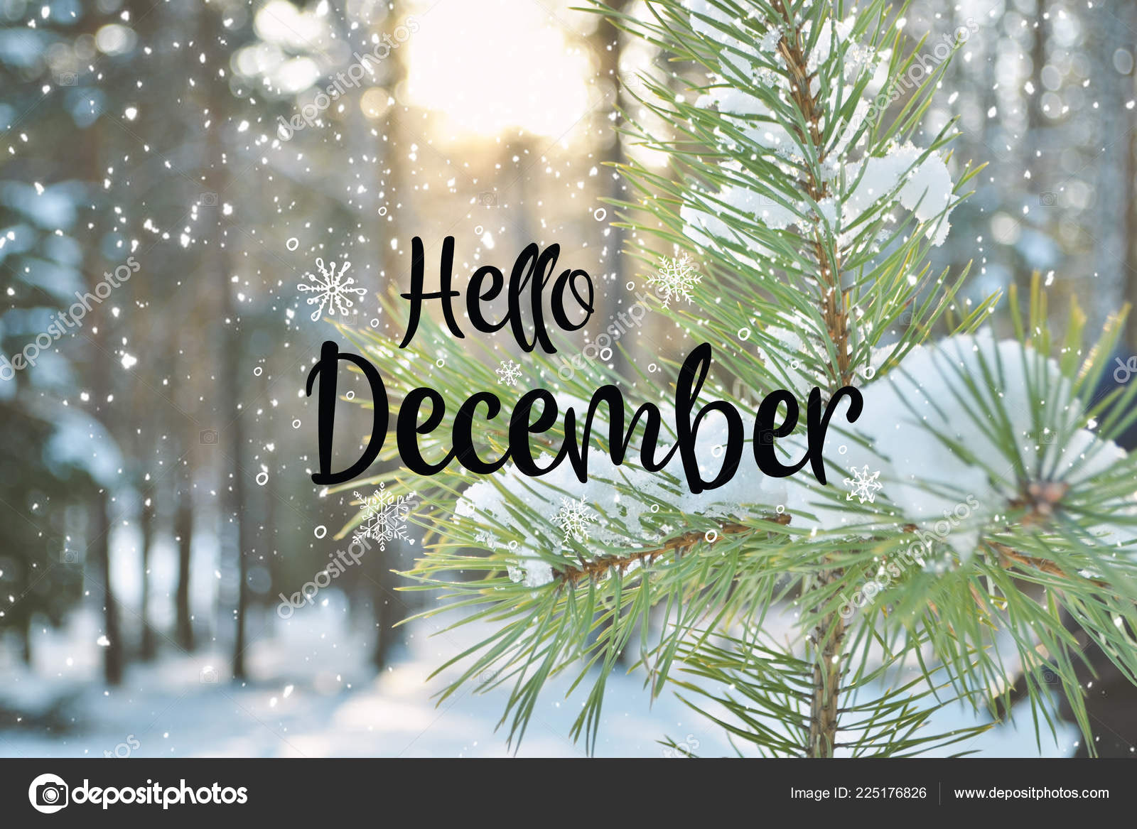 december background