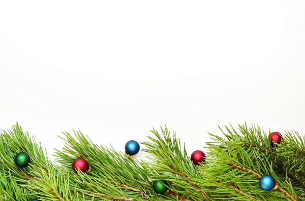 Υποκατάστημα Της Χριστουγεννιάτικο Δέντρο Λευκό Φόντο — Φωτογραφία Αρχείου