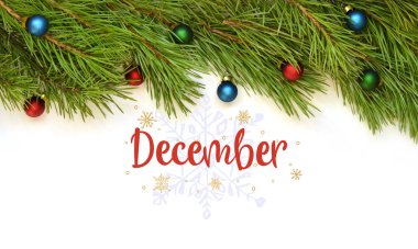 Aralık. Topları ile Noel ağacı dalı.