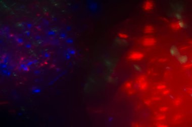 ufuk ışık bokeh Noel ışık ağacı, mutlu yeni yıl ve Noel tatil arka plan