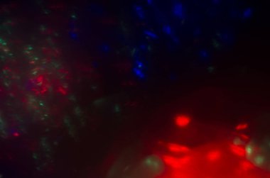 ufuk ışık bokeh Noel ışık ağacı, mutlu yeni yıl ve Noel tatil arka plan