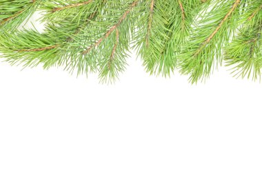 Çam dal ve süsler beyaz zemin üzerine yapılan Noel çerçeve.