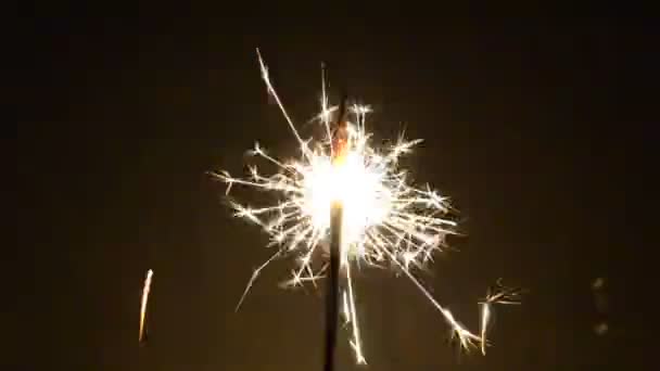 Christmas Sparkler Shiny Glare — Stock Video