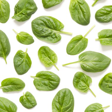 Ispanak yaprakları. Taze yeşil ıspanak üzerinde beyaz bir arka plan izole