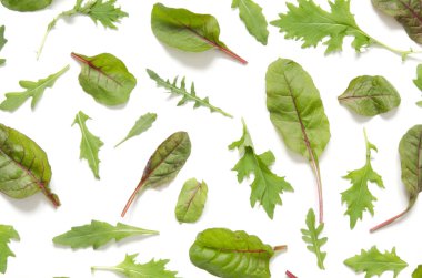 Yeşil salata karışımı beyaz zemin üzerine bırakır..