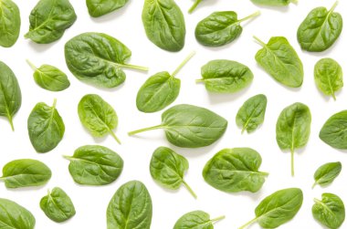 Ispanak yaprakları. Taze yeşil ıspanak üzerinde beyaz bir arka plan izole