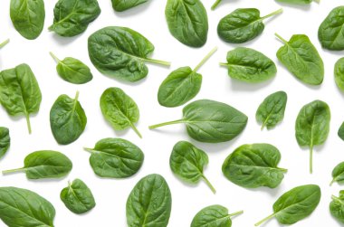 Ispanak yaprakları. Taze yeşil ıspanak üzerinde beyaz bir arka plan izole