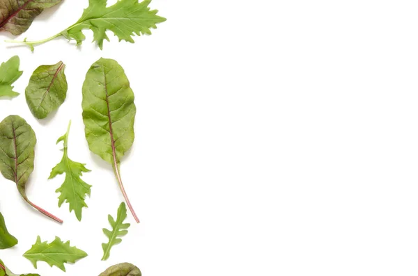 Groene Bladeren Van Salade Mix Witte Achtergrond — Stockfoto