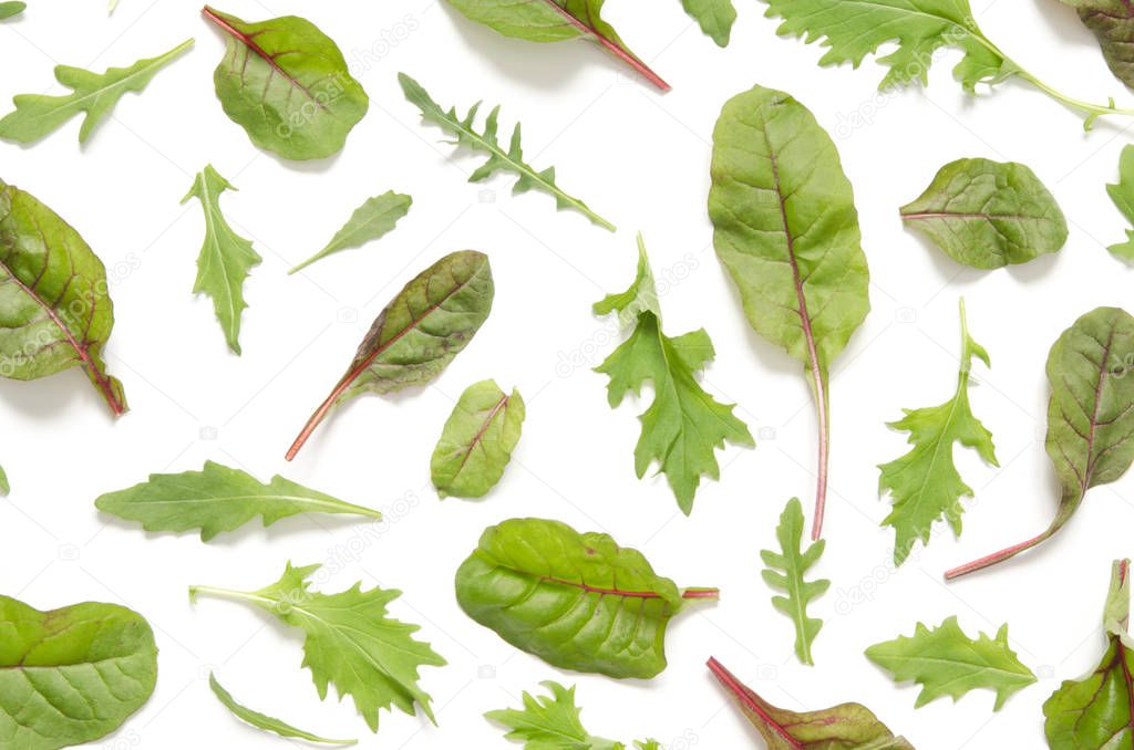 Green leaves of salad mix on white background.