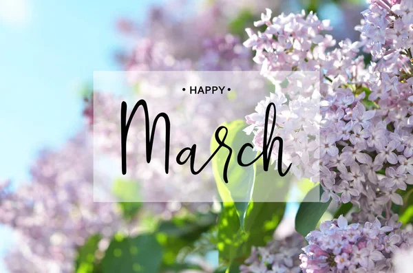 Felirat Boldog Március Lila Virág Tavaszi Háttér — Stock Fotó