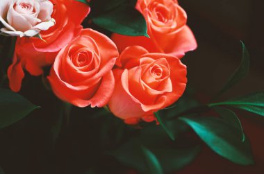 Buket çiçek - gül bir bileşimi. Kartpostal için arka plan. -Görüntü