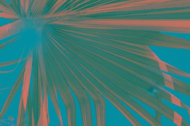 Soyut tropikal desen bırakır. Sanat Stilizasyon - görüntü