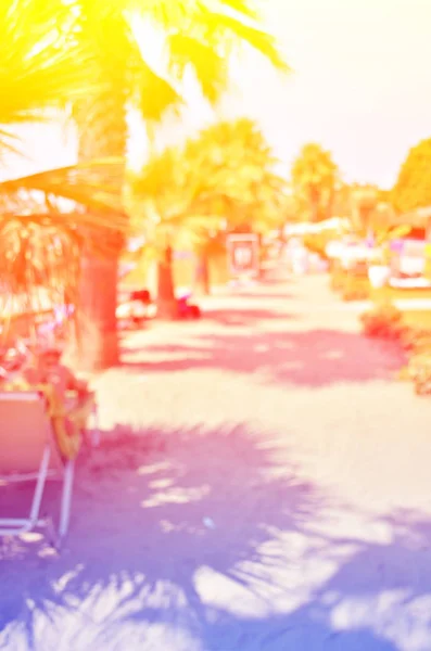 Абстрактное Размытое Изображение Летняя Природа Сцена Пляж Небо Кокосовые Пальмы — стоковое фото