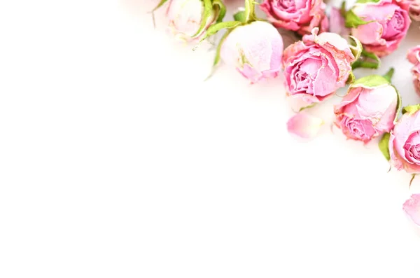 花の組成物 白い背景のバラのドライフラワー製フレーム テキストのためのスペース — ストック写真