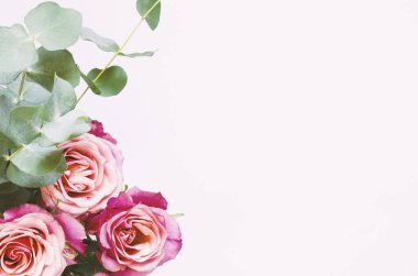 Çiçek kompozisyon. Gül çiçek ve beyaz arka plan üzerinde şube okaliptüs. Görünümü en çok, uzay kopyalayın. -Görüntü