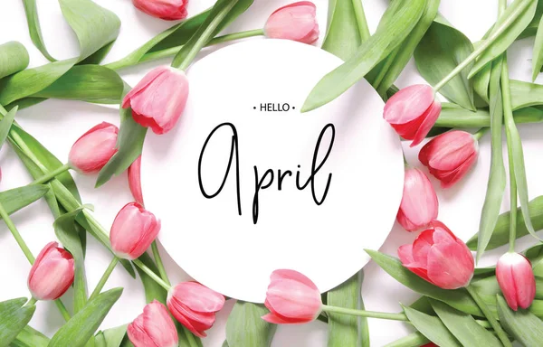 Inscrição Hello April Flor Tulipa Fundo Primavera — Fotografia de Stock