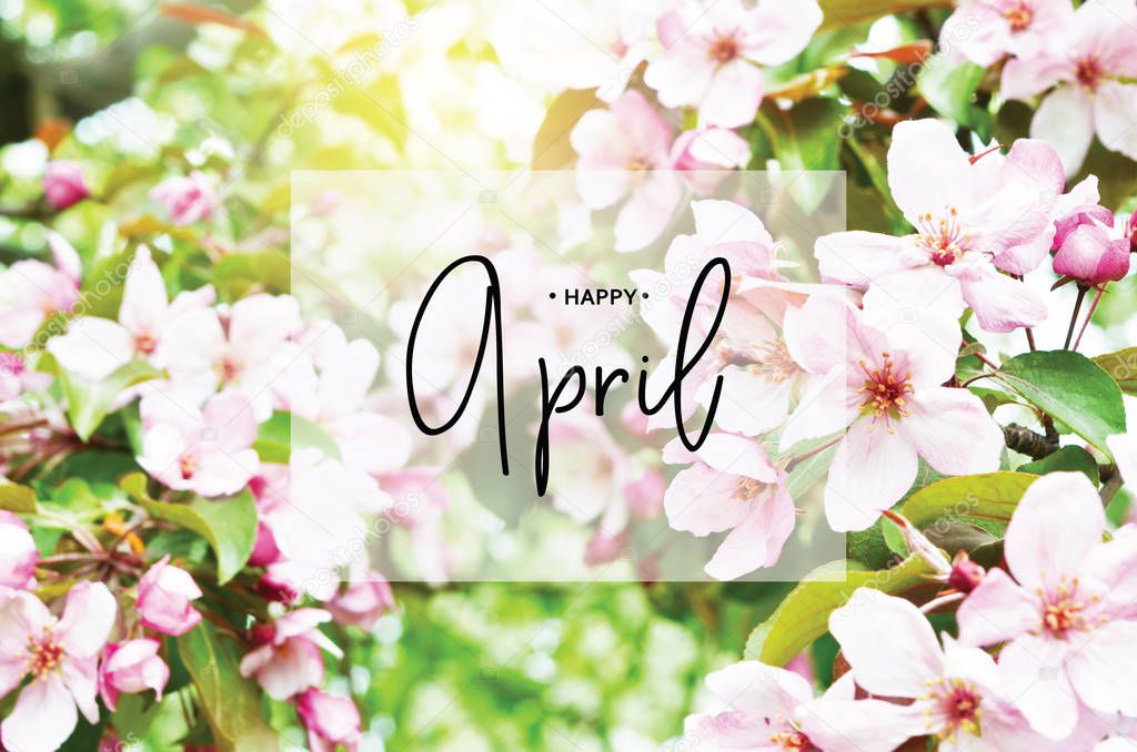 Inscription Happy April. Floral natural background spring time season. Blooming apple tree.  