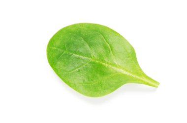 Beyaz arka plan - görüntü yeşil ıspanak yaprağı