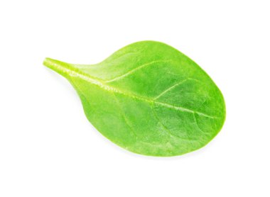 Beyaz arka plan - görüntü yeşil ıspanak yaprağı