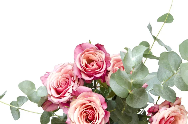 花の組成物 バラの花と白い背景の上支店ユーカリ 上面図 空間をコピーします イメージ — ストック写真