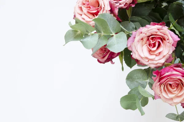 花の組成物 バラの花と白い背景の上支店ユーカリ 上面図 空間をコピーします イメージ — ストック写真