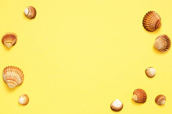 Sea shells pattern on yellow paper background. Summer concept. Flat lay, top view - Image