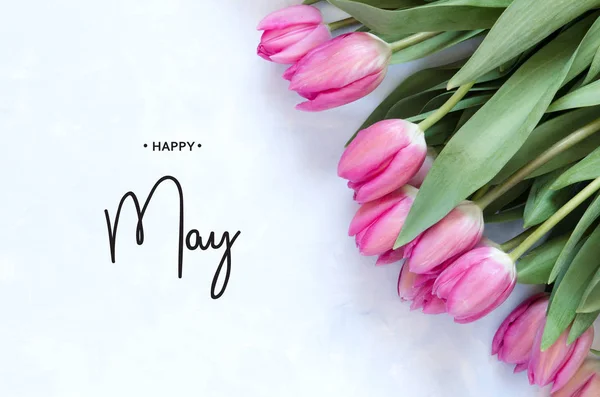Inscrição Happy May Flor Tulipa Fundo Primavera — Fotografia de Stock