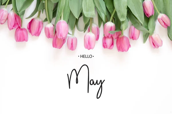 Inscription Hello May Tulip Flower Spring Background — Stock Photo, Image