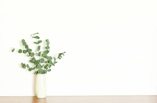 Dry Eucalyptus branches in vase on white background. Copy space. - Image