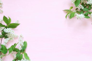 Çiçek kompozisyonu. İlkbahar veya yaz arka plan; pembe arka plan üzerinde taze çiçek kuş kiraz. - Düz döşeme, üst görünüm, kopyalama alanı. - Resim