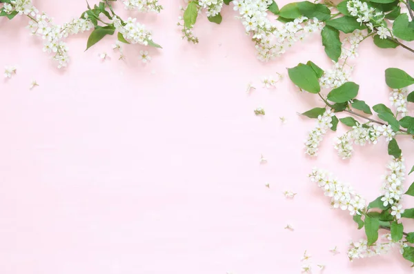 Flowers composition. Spring or summer background; fresh flowers bird cherry on pink background. -  Flat lay, top view, copy space. - Image