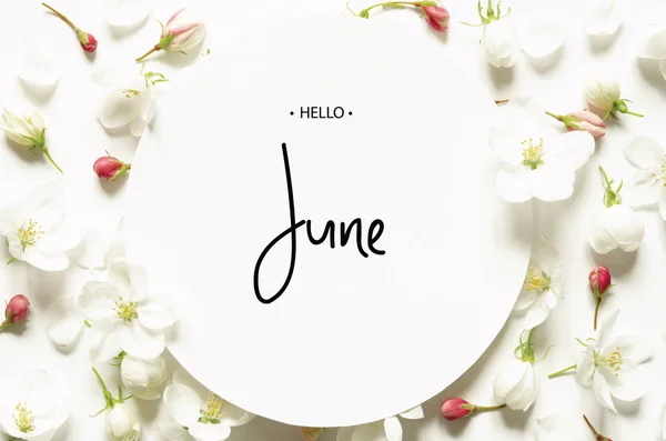 Inscripție Hello June Flori Proaspete Vară Privire Sus Imagine — Fotografie, imagine de stoc