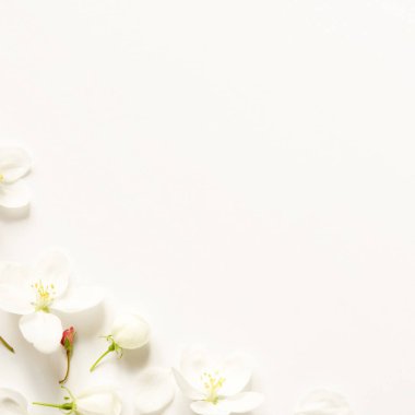 Çiçek kompozisyonu. Desen beyaz kağıt üzerinde metin için boşluk ile beyaz ve pembe çiçekler yaptı. Mockup. Yukarıdan görüntüleyin. - Resim 