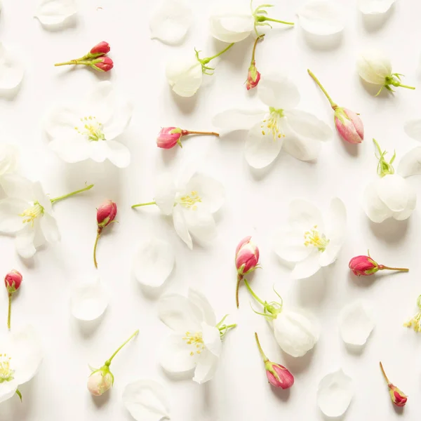 Patrón Floral Con Flores Rosas Blancas Sobre Fondo Blanco Asiento — Foto de Stock